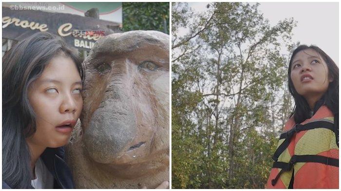 Artis Mirip Monyet: Menyingkap Keunikan dan Kreativitas Selebriti
